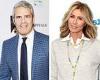 Carole Radziwill slams Andy Cohen on Twitter for saying she changed post RHONY ...