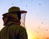 Beekeeper kidnapped his elderly mother before dumping her on the side of a ...