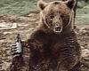 Work begins on animated film telling true story of Wojtek the WWII bear
