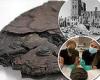 'Heavily charred and blackened' nut cake baked during World War II found ...