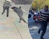 Horrifying moment NYC woman is yanked to the ground by her HAIR in random ...