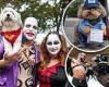 New York's most spoilt pooches don adorable costumes to take part in city's ...