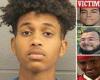Sudanese teen is freed on bail after being charged with murder for crashing ...