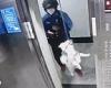 Dog is lucky to escape after leash gets caught in elevator doors before workman ...