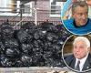 Brooklyn looks like the NYC of the 1970s as trash piles up amid workers' ...