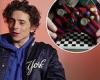 Timothee Chalamet had a YouTube channel based off Xbox controllers when he was ...