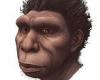 Meet Homo bodoensis: Newly-identified ancient human species lived in Africa ...