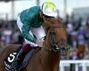 sport news Robin Goodfellow's racing tips: Best bets for Saturday, October 30