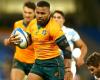 Wallabies game plan to change as Japan-based trio pulls out of spring tour