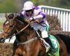 sport news Robin Goodfellow's racing tips: Best bets for Tuesday, November 2 