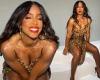 Kelly Rowland turns heads as she models a sexy leopard print dress and red ...
