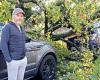 Moment huge tree smashes through windscreen of Range Rover