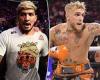 sport news Conor McGregor's team-mate Dillon Danis vows to give 'bull*******' Jake Paul ...