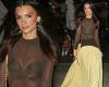 Emily Ratajkowski puts model figure on display in a see-through top paired with ...
