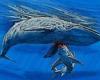 Fossils: Giant SHARK, possibly megalodon, sunk its teeth into a baleen whale 15 ...