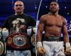 sport news Oleksandr Usyk confirms Anthony Joshua rematch will take place next spring