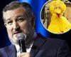 Ted Cruz hits out after Sesame Street icon Big Bird tweets his delight at ...