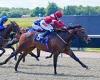 sport news Robin Goodfellow's racing tips: Best bets for Tuesday, November 9