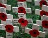 Britain will fall silent for war dead at Armistice Day services across the ...