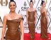 CMA Awards 2021: Katy Perry turns up the heat in a figure-hugging brown leather ...