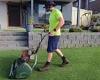Mowing enthusiast impressed by epic front yard display in suburban Sydney