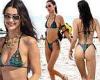 Bella Hadid stuns in an itty-bitty bikini during Miami beach day with boyfriend ...