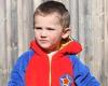 Missing William Tyrrell: Foster parents named 'persons of interest' as police ...