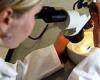 Alzheimer's research gives hope to patients as scientists suggest jab can ...