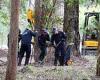 William Tyrrell: Police find 'mystery item' in Kendall search