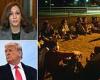 Kamala Harris blames Trump for the 'broken' immigration system with crossings ...