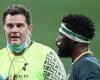 sport news England v South Africa: Faf de Klerk and Francois Louw preview Twickenham clash