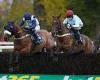 sport news Robin Goodfellow's racing tips: Best bets for Saturday, November 20