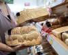 Price of a loaf is set to soar 20% within weeks as wheat prices hit nine-year ...
