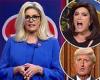 'Republican or Not' game-show sketch on SNL pokes fun at GOP fury over Liz ...