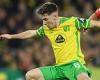 sport news Billy Gilmour's display in the win against Southampton will give Dean Smith ...