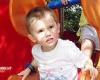 William Tyrrell search Kendall: The major developments in missing boy case