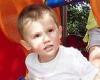William Tyrrell: Body finding expert leads detectives to a NEW site in Kendall