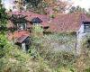 Derelict cottage near Watership Down that could be worth £1.2m if restored ...