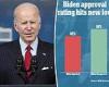 Biden's approval rating drops to 42%, another dire poll shows
