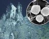 Deep sea vents are 'particularly favorable' to forming the building blocks of ...