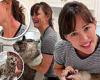 Jennifer Garner bathes her cat Moose after he had an accident in a hilarious ...