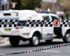 Kurrajong, NSW: 40 GUNS and 250kg stash of 'explosive material' seized as man, ...