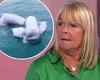 Linda Robson reveals she would take a migrant family into her home