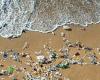 Beach litter is down and recycling is up in major boost for green campaigns 