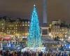 Christmas tree in Trafalgar Square is a gift on behalf of a Norwegian monarch