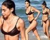 Chantel Jeffries sizzles in a sexy brown bikini as she soaks up the sun while ...