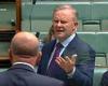 Anthony Albanese, Peter Dutton: Video of Albo shutting down Minister