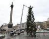 Londoners are nonplussed by the 'half dead' Trafalgar Square Christmas tree 