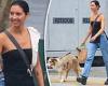 Zac Efron's ex-girlfriend Vanessa Valladares takes her dog for a walk with ...