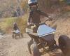 Tesla launches Cyberquad for KIDS! Four-wheeled ATV inspired by the Cybertruck ...